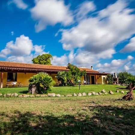 Agriturismo Carrucana Martis Exteriör bild