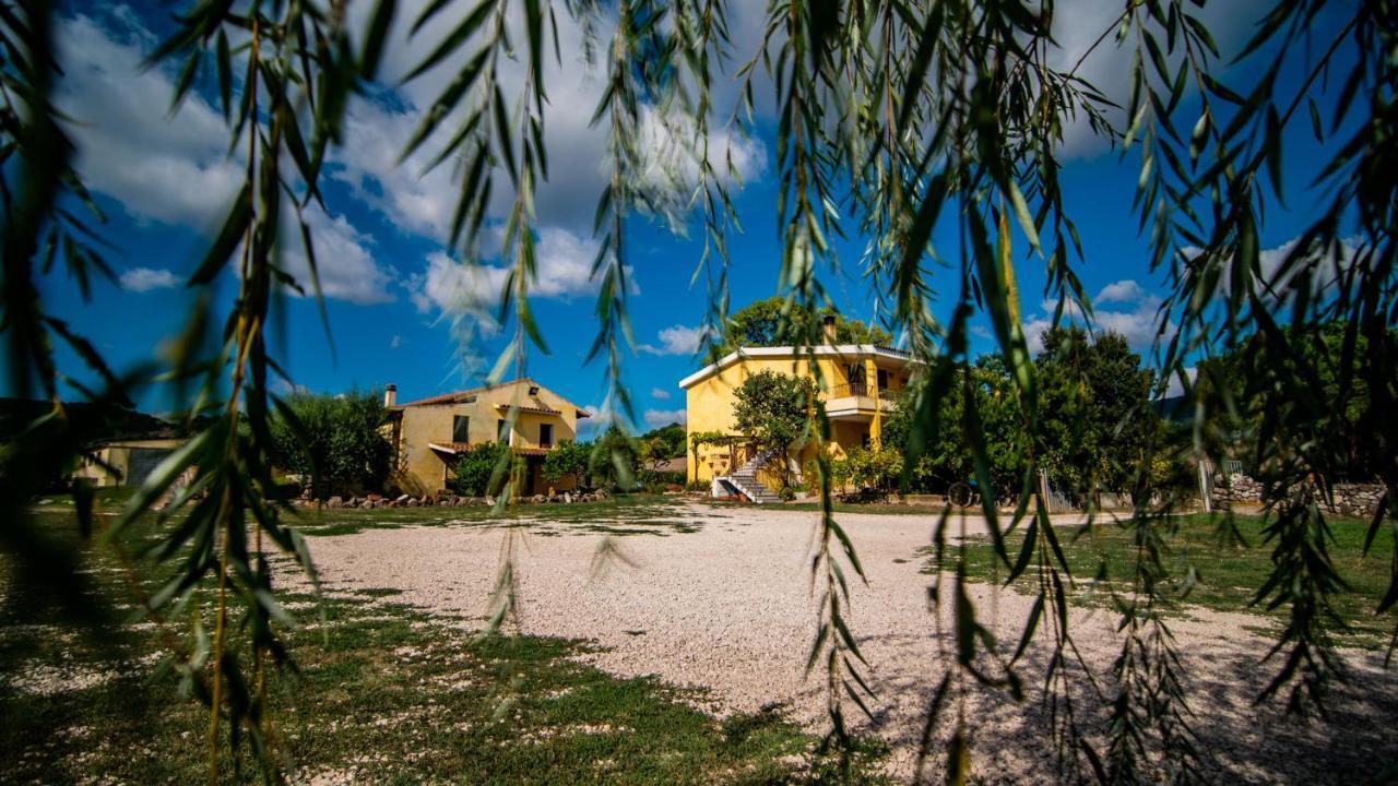 Agriturismo Carrucana Martis Exteriör bild